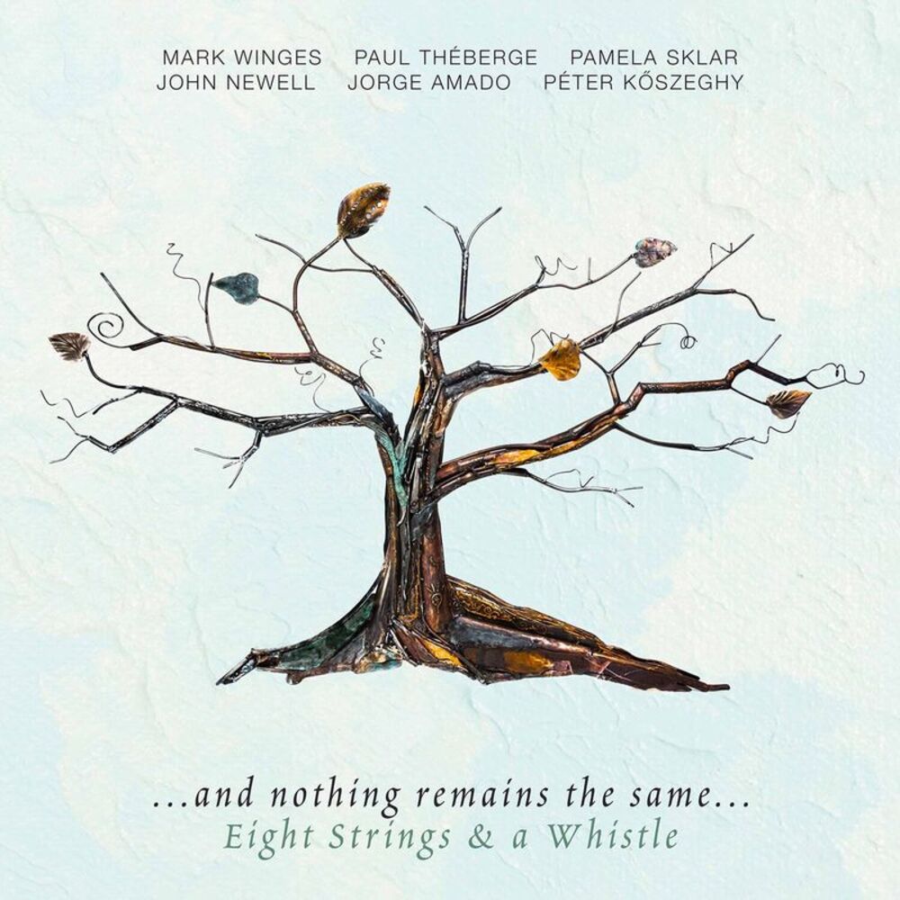 Various Artists - & Nothing Remains the Same   CD